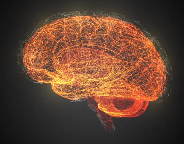 Vector illustration of Vector illustration, three-dimensional brain on a dark background