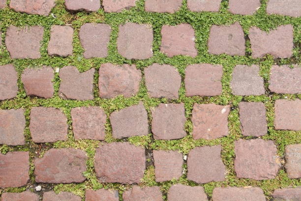 paving stones on the street