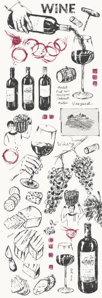 ilustraciones, imágenes clip art, dibujos animados e iconos de stock de fondo de ilustración de vino dibujado a mano - wine pouring wineglass white wine