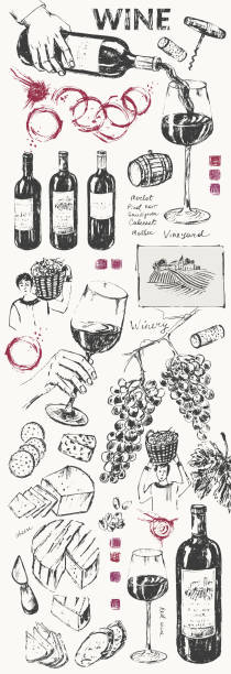 нарисованная от руки винная иллюстрация фон - wine wine bottle cellar grape stock illustrations