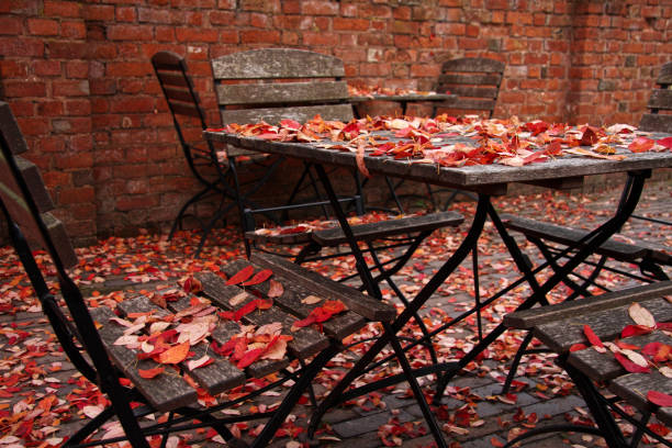 autumn leaves fall on wooden table and chairs stock photo