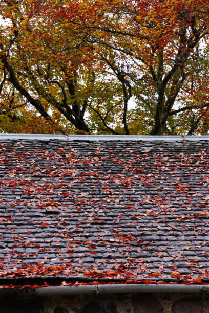 istock autumn leaves on roof fallen from trees above 1439715374