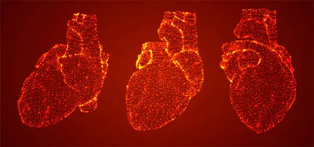 Vector illustration of vector 3d human heart