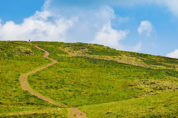 Muddy winding pathway passing through beautiful grass rolling hills of Chikmagalur,Karnataka.