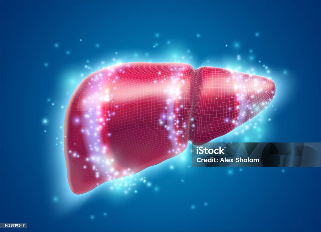 Visual Abstract Liver Human Liver 3d Vector Health And Medicine Stock Illustration - Download ...