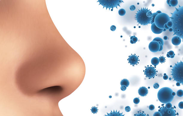istock vector banner. nose and particles, bacteria, viruses. protection against allergies and diseases 1439722389