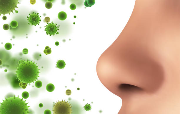 istock vector banner. nose and particles, bacteria, viruses. protection against allergies and diseases 1439722400