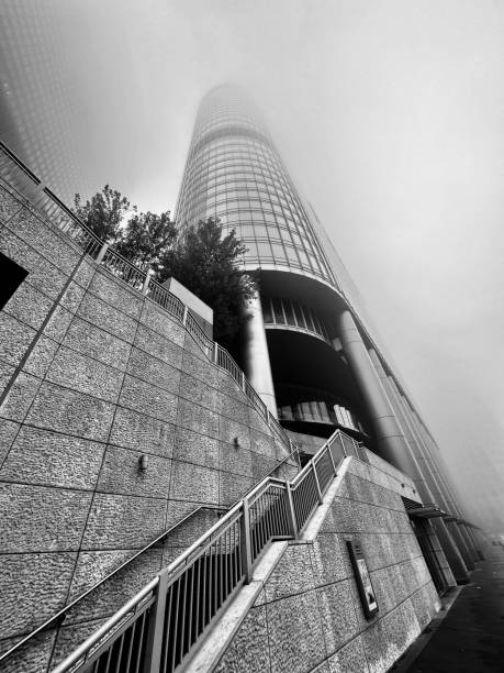 чикаго в черно-бело�м - chicago black and white contemporary tower стоковые фото и изображения