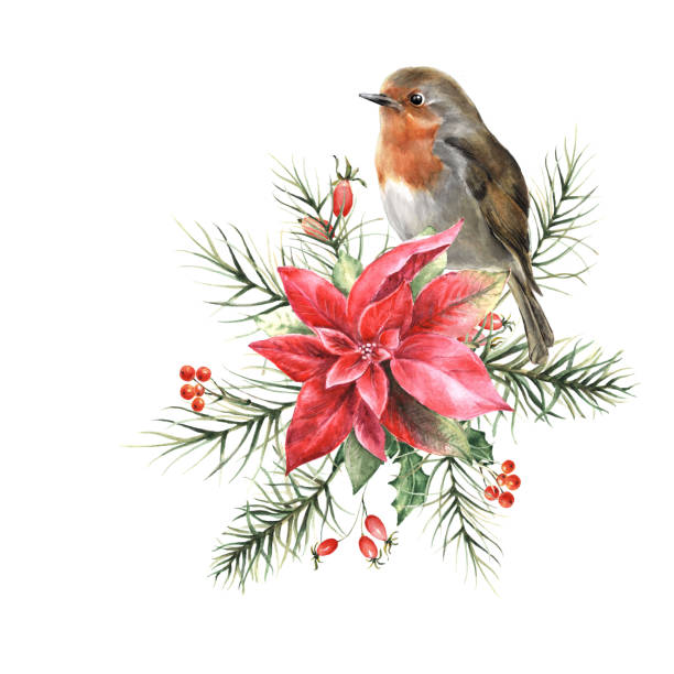 istock Watercolor christmas composition with robin bird and poinsettia 1439723351