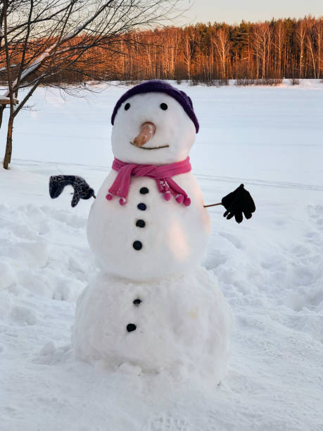 istock cute snowman dressed in hat, scarf and mittens on winter landscape backdrop 1439726135