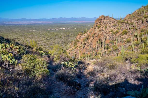 istock An overlooking view of Tucson, Arizona 1439726887