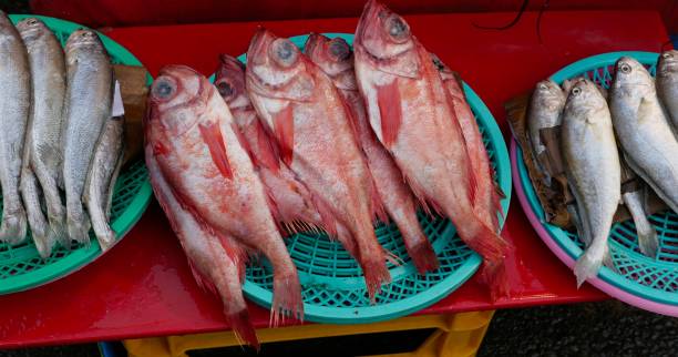 istock Red mullet displayed for sale 1439728230
