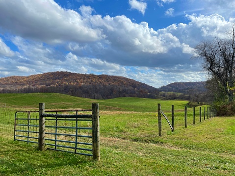 Empty wooden chairs in autumn fall foliage season countryside at Charlottesville winery vineyard in blue ridge mountains of Virginia with cloudy sky day