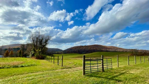 Albemarle County, Virginia