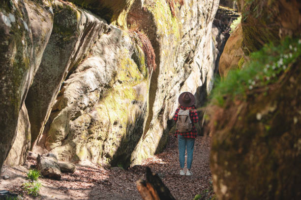 istock woman hiker with backpack walking by trail 1439728589