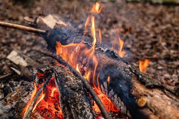 istock charred logs burn out in  bonfire close-up 1439730527