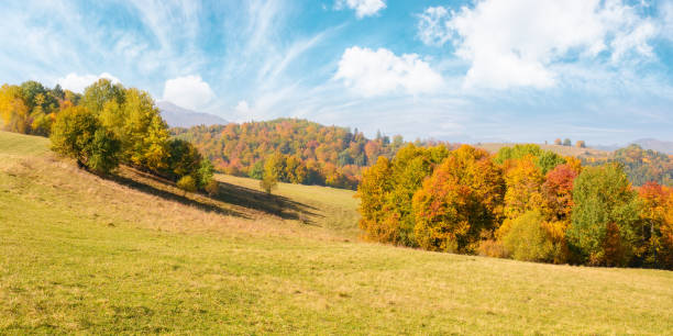 istock incredible autumn landscape with colorful trees 1439730952