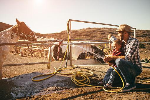 Happy father and son washing their horse at ranch farm - Focus on kid faces