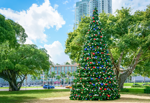 Decorated christmas tree in Bay side, Miami