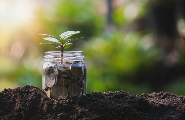 istock A glass bottle coins with plants growing on the ground idea concept. 1439738078