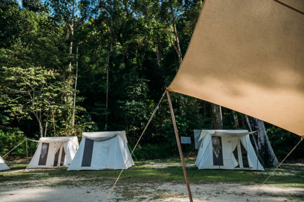 istock Camping tent in rainforest with morning sunlight 1439738907