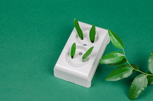 Electrical outlet framed with green leaves on a green background. Green energy concept. The concept of environmental protection