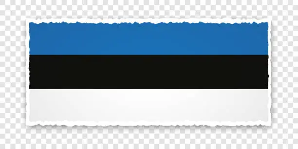 Vector illustration of vector illustration of torn paper banner with flag of Estonia on transparent background