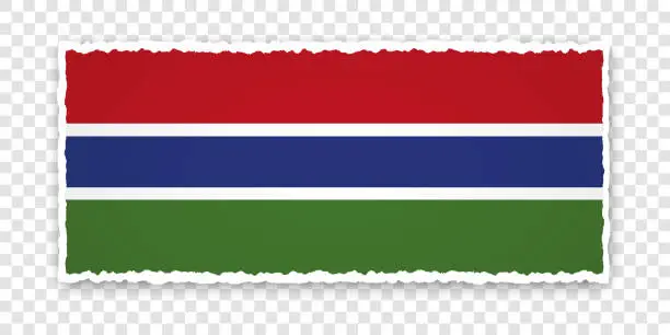 Vector illustration of vector illustration of torn paper banner with flag of Gambia on transparent background