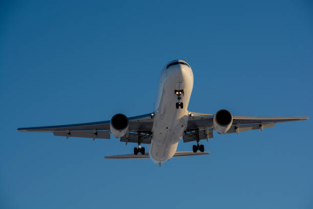 istock Landing jet airliner and winter mountains 1439742779