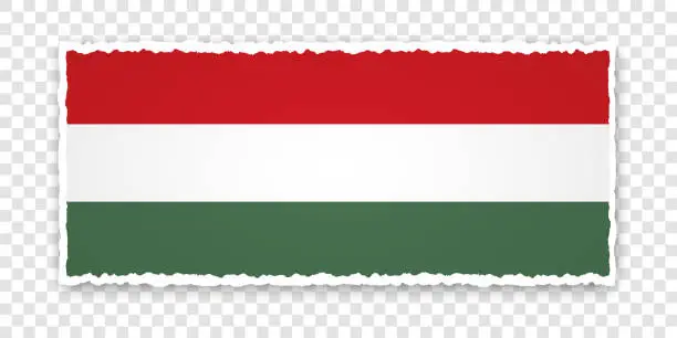 Vector illustration of vector illustration of torn paper banner with flag of Hungary on transparent background