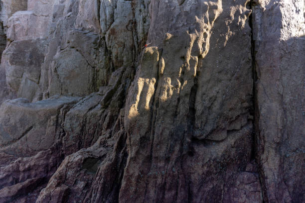 The light and shadow produced by the sunshine on the seaside stones