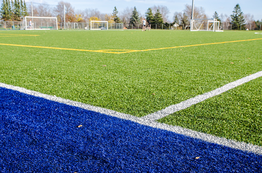 Synthetic turf football field twenty, 20, yard line in white.