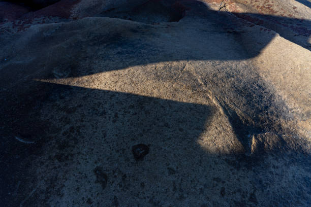 The light and shadow produced by the sunshine on the seaside stones