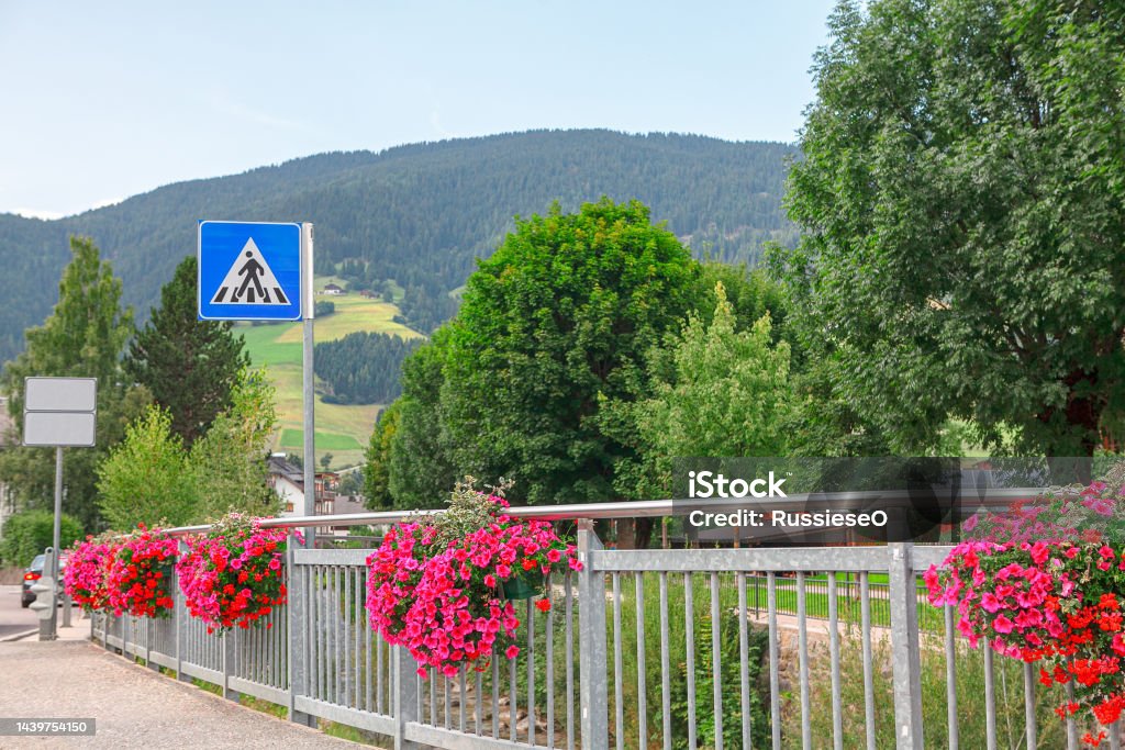 Flowerbed at balustrade Flowerbed at balustrade . Street side with flowers and road signs Architecture Stock Photo