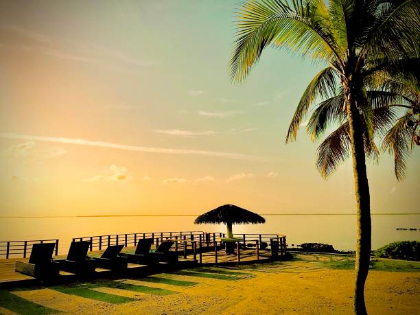 istock Chaise Lounge Chairs Along the Promenade With a Palm Tree 1439759596