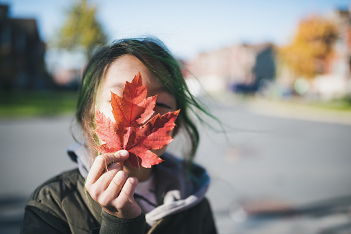Woman Hand Holding Red Maple Leaf in a Canadian park