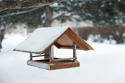 Wooden bird feeder hanging outdoors on snowy day