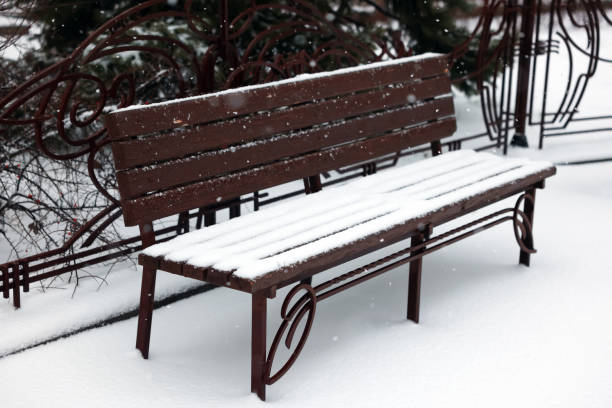 Bench covered with snow in city park