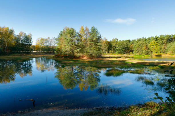 Pond near the Holmer Sanddünen or Holmer Sandberge west of Hamburg, between Pinneberg and Wedel.