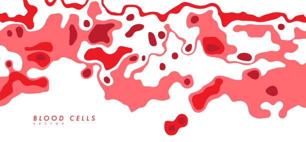 menschliche rote blutkörperchen. - blood cell formation stock-grafiken, -clipart, -cartoons und -symbole