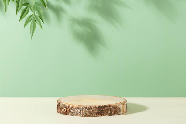Wood slice podium on green background for cosmetic product mockup stock photo