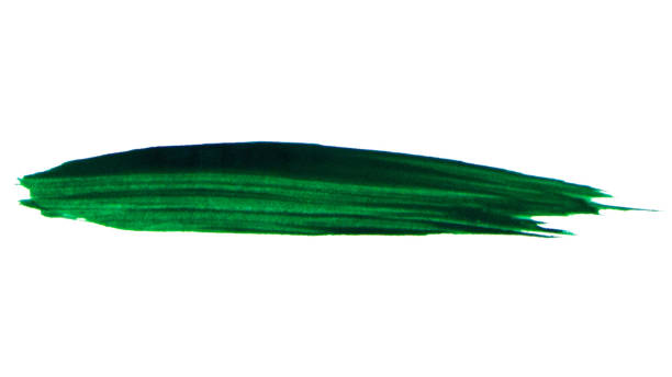 istock Paint brush stroke green on white background. 1439763625