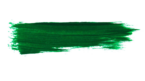 istock Paint brush stroke green on white background. 1439763630