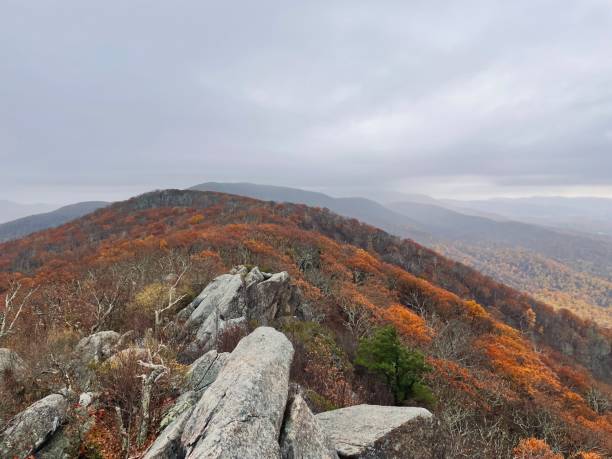 park narodowy shenandoah - góry błękitnego grzbietu - krajobraz dzikiej przyrody - shenandoah river valley zdjęcia i obrazy z banku zdjęć