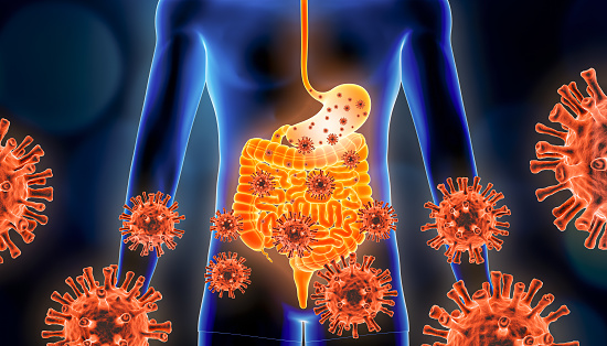 Gastroenteritis of stomach flu 3d rendering illustration with red virus cells and human body. Viral, infectious and inflammatory gastric or gastrointestinal tract disease, medical and healthcare concepts.
