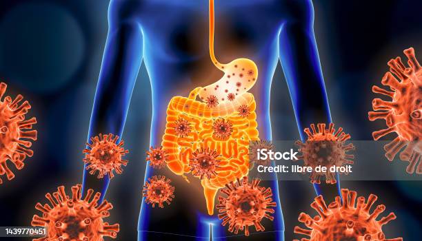 Gastroenteritis Of Stomach Flu 3d Rendering Illustration With Red Virus Cells And Human Body Viral Infectious And Inflammatory Gastric Or Gastrointestinal Tract Disease Medical And Healthcare Concepts Stock Photo - Download Image Now