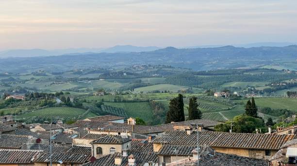 istock Aerial view of a countryside area with fields 1439771073