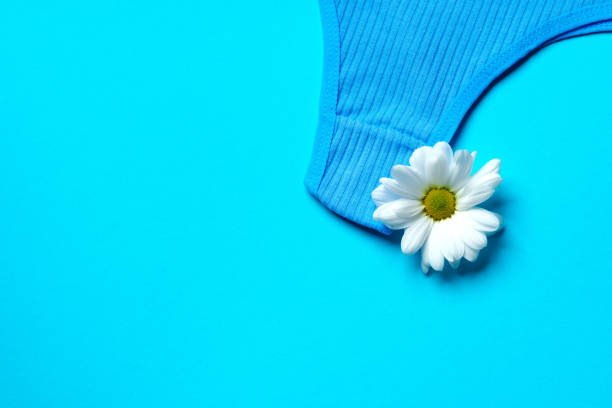 istock Women's panties with flower buds on paper background 1439771797