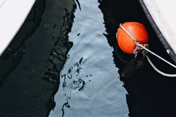 istock Bouy in the water with fish in it during the daytime 1439773672