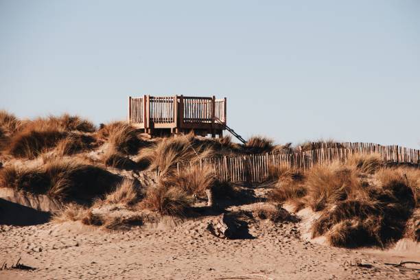 istock Wooden observation platform on the sand dune 1439773694